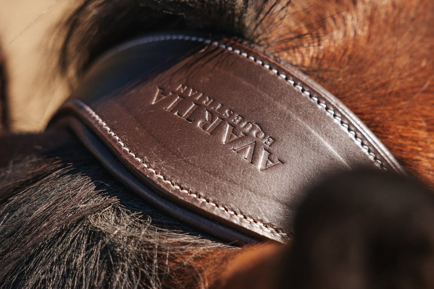 Brown Anatomical Leather Halter