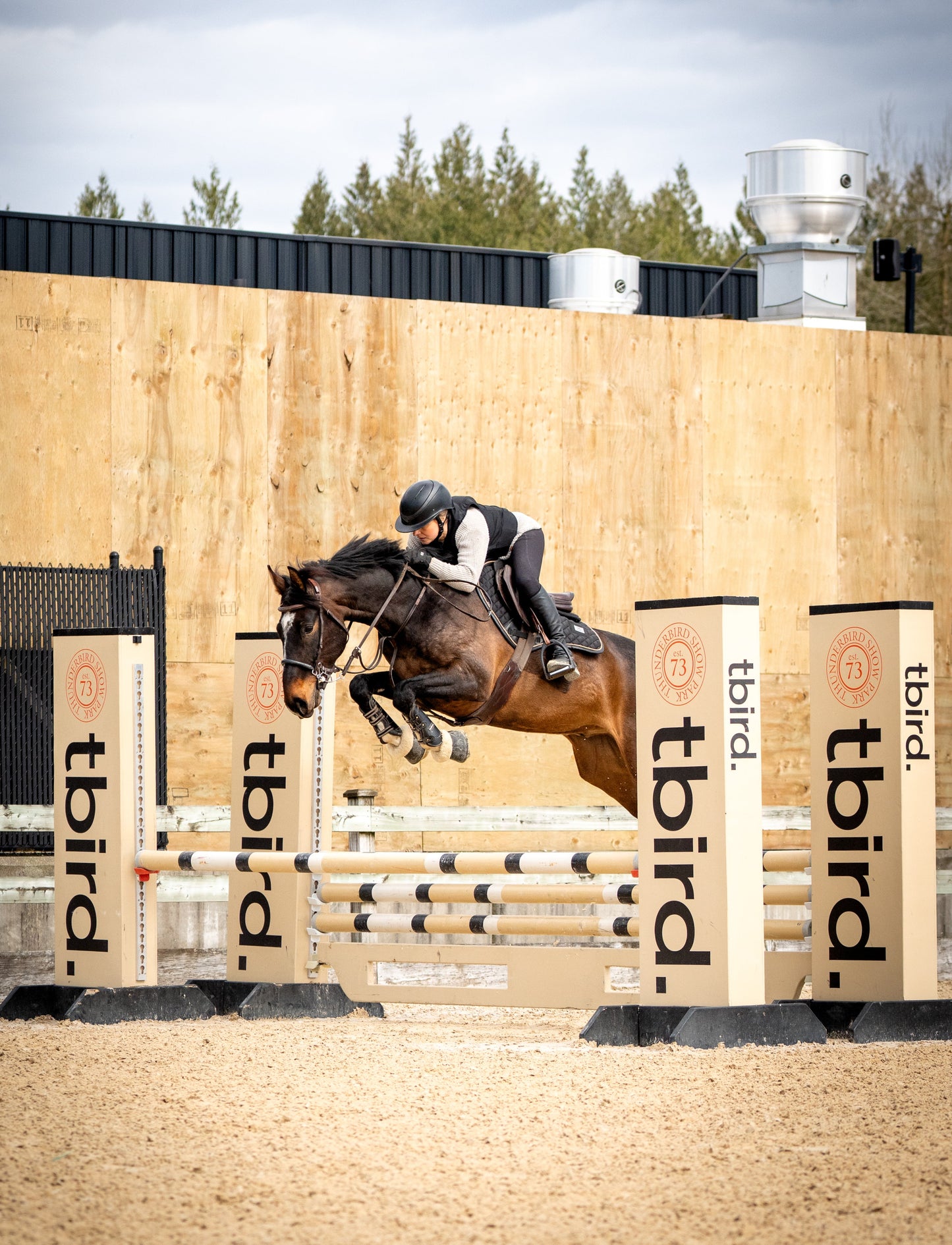 Rise Jumping Pad
